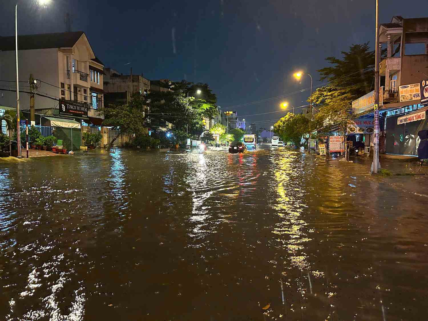Mua lon khien cac tuyen duong Sinco, Le Co o quan Binh Tan menh mong nuoc. Anh: Minh Quan