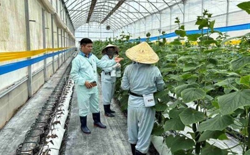 Guiding the work of ensuring occupational safety and hygiene at the workplace for workers. Photo: Lam Duc