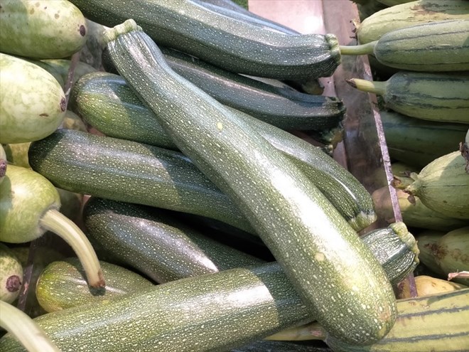 Zucchini has many health benefits such as detoxification and digestion support. Photo: Lam Anh
