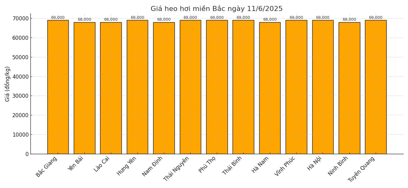 Gia heo hoi khu vuc mien Bac ngay 11.6. Do hoa: Thuy Linh.