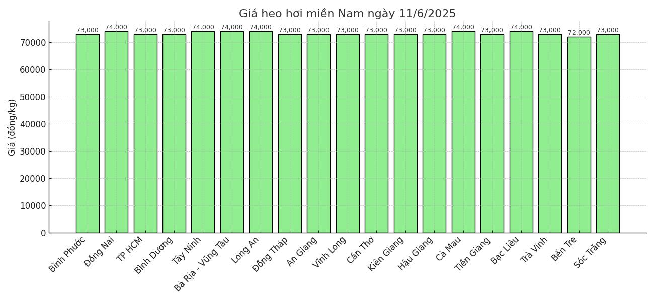 Gia heo hoi khu vuc mien Nam ngay 11.6. Do hoa: Thuy Linh.