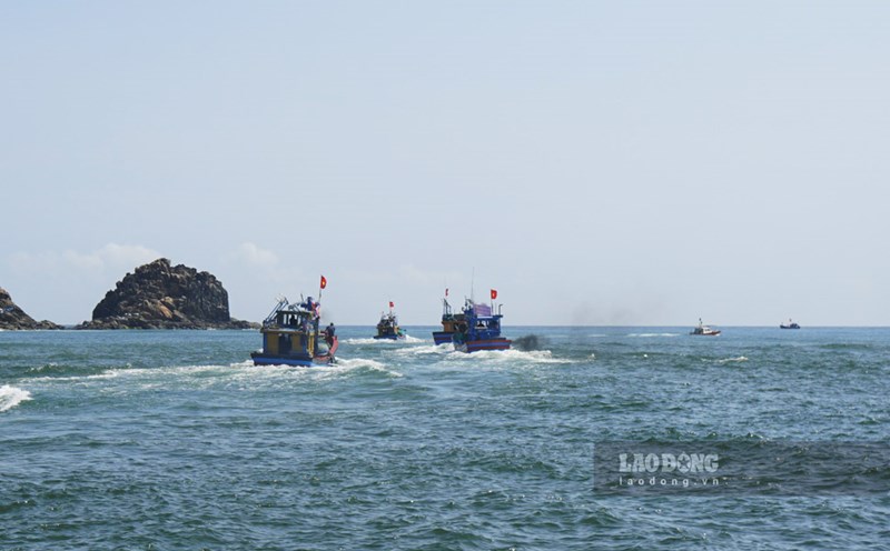 Binh Dinh and Phu Yen call on ships operating at sea to urgently take shelter from storm No. 1 Wutip. Photo: Hoai Phuong