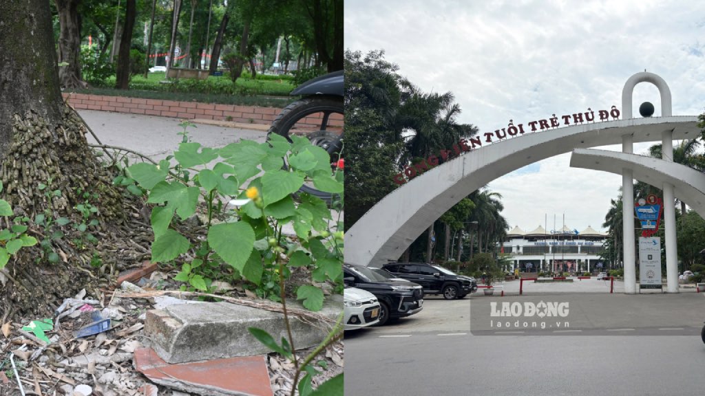 Khong chi Cong vien Thong Nhat, tinh trang tuong tu cung duoc ghi nhan tai cong vien Tuoi tre Thu Do. Viec kim tiem da qua su dung vut bua bai khong dung quy dinh trong moi truong cong cong gay moi de doa nghiem trong toi suc khoe cong dong.