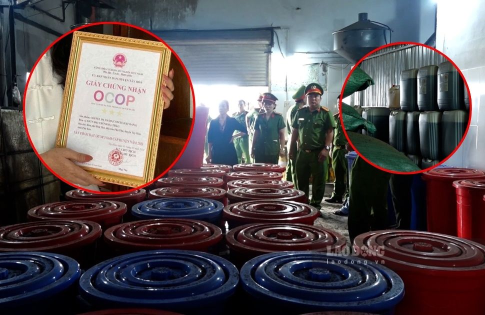 The competent authority inspected the coffee production facility of Dai Da - Da Thao Private Enterprise (Phu Thu town, Tay Hoa district, Phu Yen). Photo: Hoai Luan