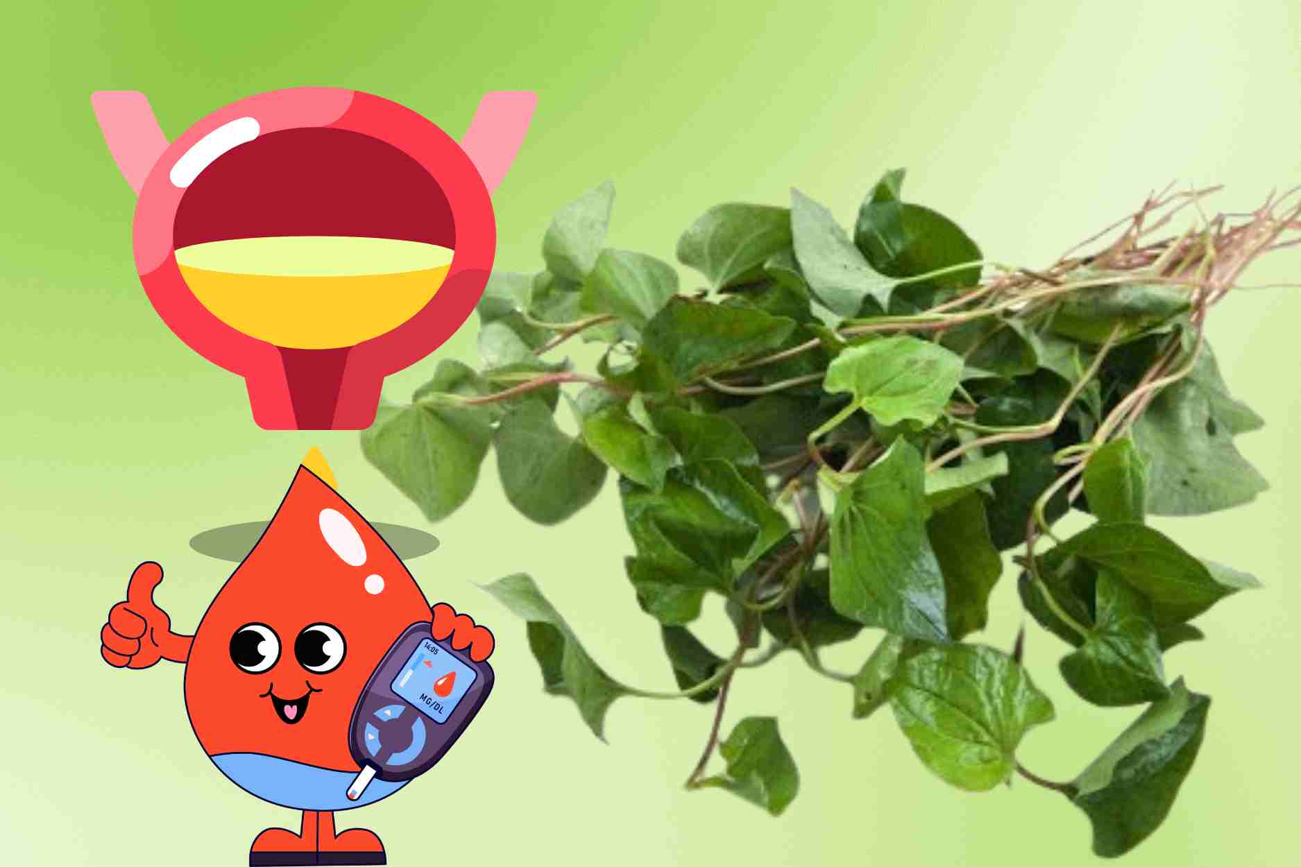 Bitter melon from tree roots helps cool down, control blood sugar