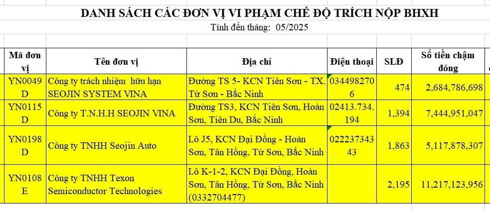 Danh sach mot so cong ty nuoc ngoai cham nop bao hiem xa hoi o Bac Ninh. Nguon thong tin Bao hiem xa hoi Viet Nam cung cap