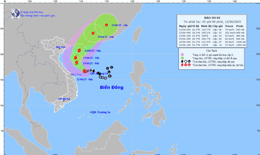 Dự báo đường đi và vùng ảnh hưởng của bão số 1 WUTIP. Ảnh: NCHMF