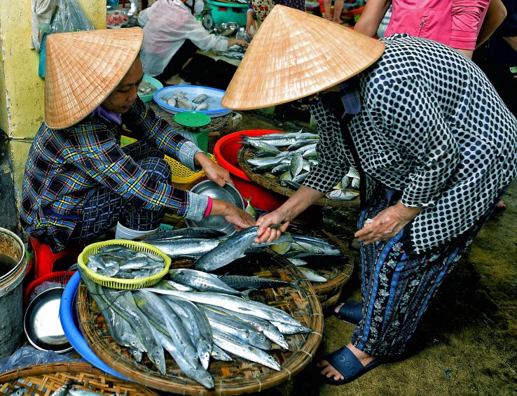Cho ca o Khanh Son (Nha Trang).Anh: Viet Van