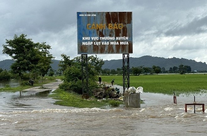 La situacion de las inundaciones en Dak Lak es complicada debido a la influencia del tifon No. 1. Foto: Bao Trung