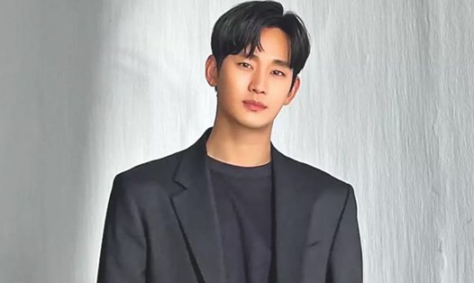 The difference in the case of Garosero's Kim Soo Hyun and Kim Se Ui's assets being frozen