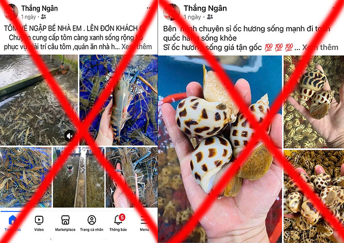 Trang Facebook đối tượng lập để lừa bán hải sản online. Ảnh: Công an Lai Châu
