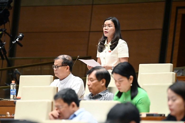 Dai bieu Vu Hong Luyen. Anh: Quohoi.vn