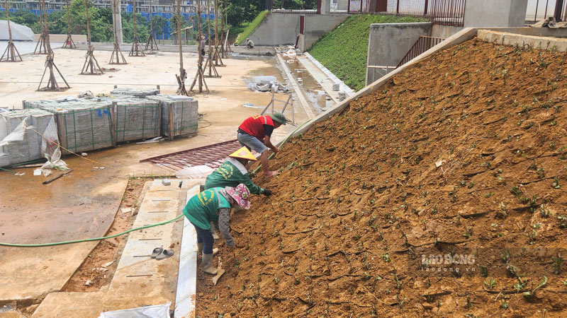 Các công nhân đang thi công hạng mục cảnh quan tại Trường THPT Chuyên Lào Cai. Ảnh: Đinh Đại