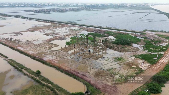 Phát hiện nhiều vi phạm trong vụ tự ý san lấp 10ha đất ở Quảng Bình