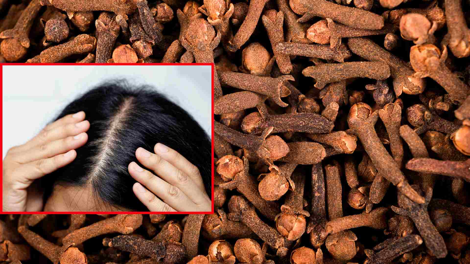 Revelando una hierba medicinal que ayuda a reducir la perdida de cabello de manera efectiva. Grafico: Thach Lam