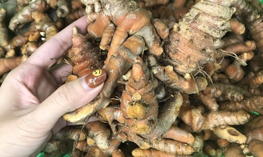 Turmeric is a herb that improves intestinal health. Photo: Thanh Thanh