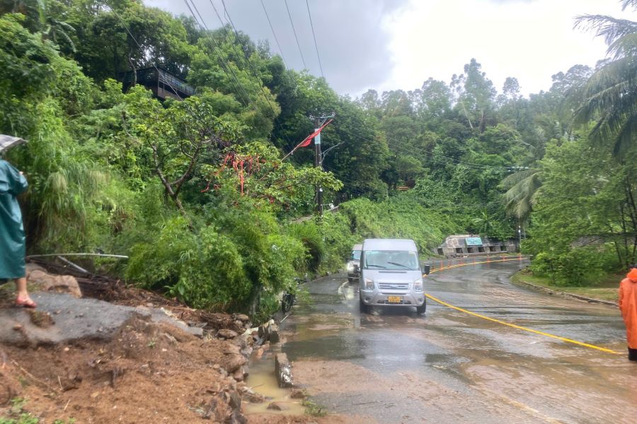 Urgently clean up the landslide scene on Son Tra peninsula, Da Nang. Photo: Hoang Vinh