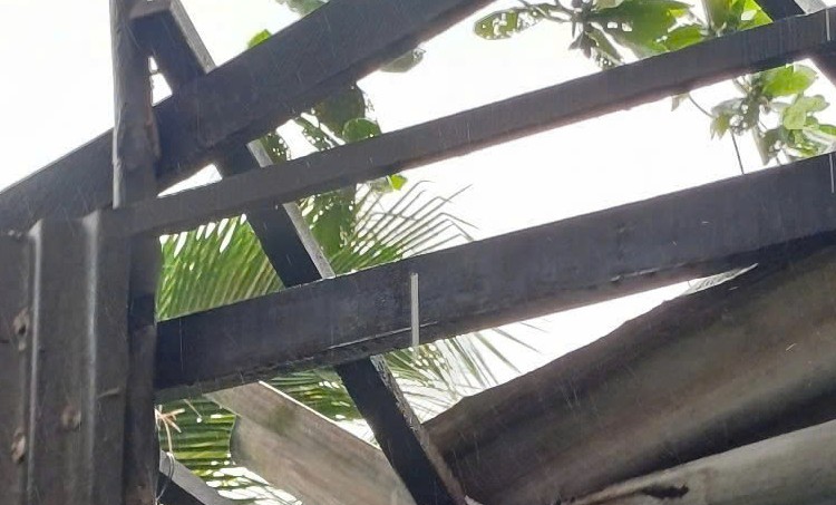 El viento fue arrastrada por el viento. Foto: Nhat Ho