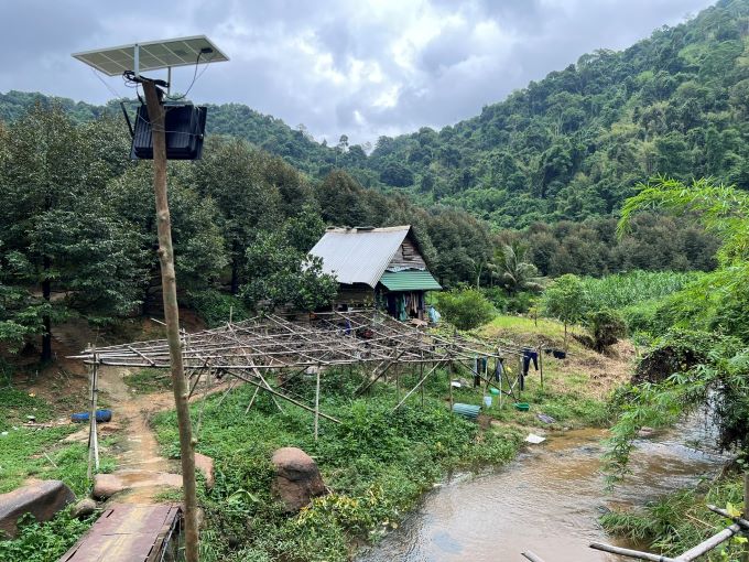 Lam Dong Provincial People's Committee decided to reclaim 5.5 hectares of forestry land previously allocated to enterprises. Photo: Lam Hong