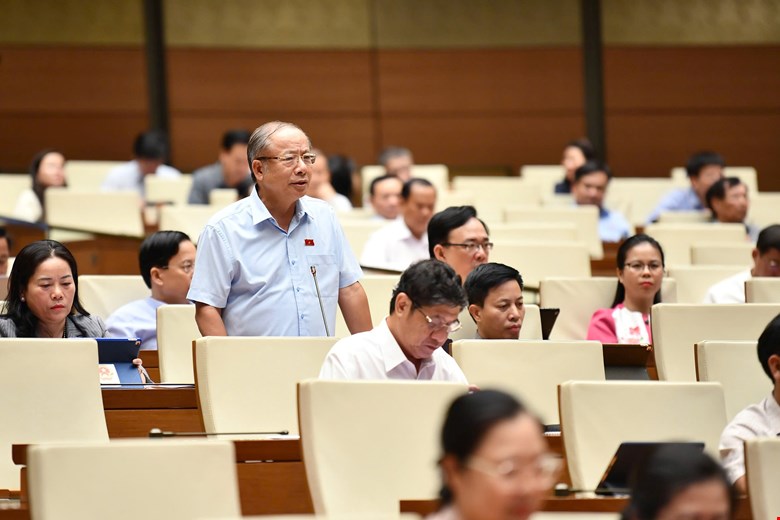 Dai bieu Nguyen Van Than phat bieu. Anh: Quochoi.vn