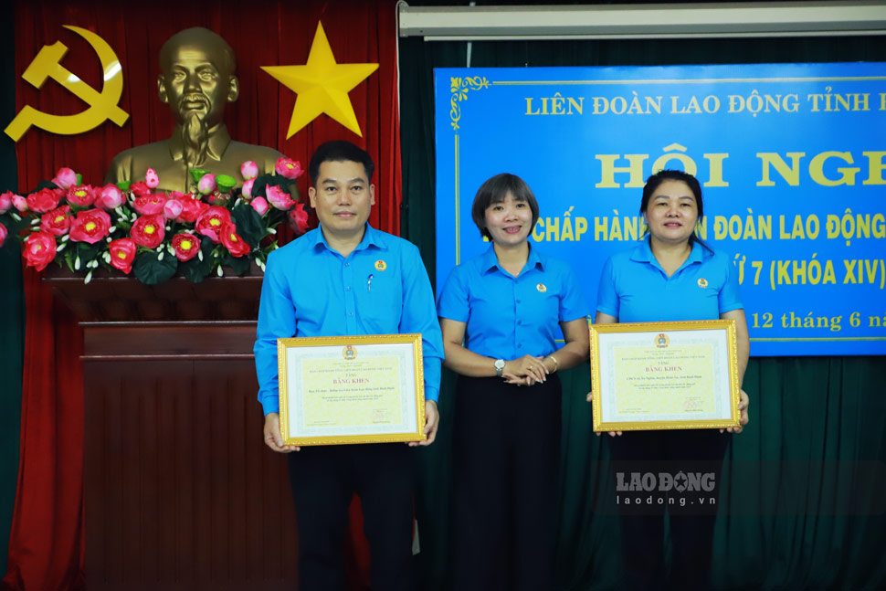 Lanh dao LDLD tinh Binh Dinh trao Co thi dua, bang khen cho cac ca nhan, tap the. Anh: Hoai Phuong