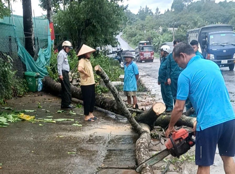 Hien truong cay xanh bi do sau mua lon. Anh: Lam Hong