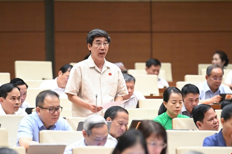 Dai bieu Tran Chi Cuong phat bieu. Anh: Quochoi.vn