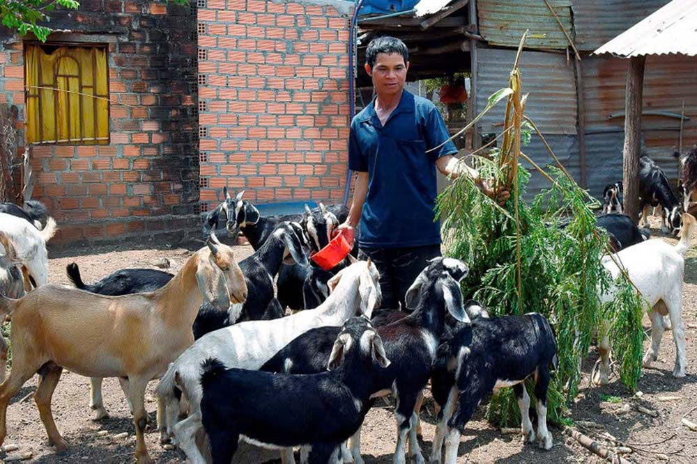 Nguoi dan huyen Chu Se su dung von vay uu dai hieu qua trong phat trien san xuat. Ảnh: NHCSXH