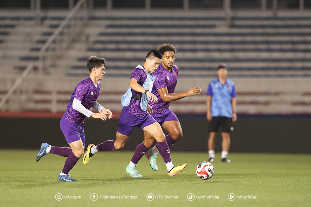 The artificial pitch will be banned in many major AFC tournaments. Photo: VFF