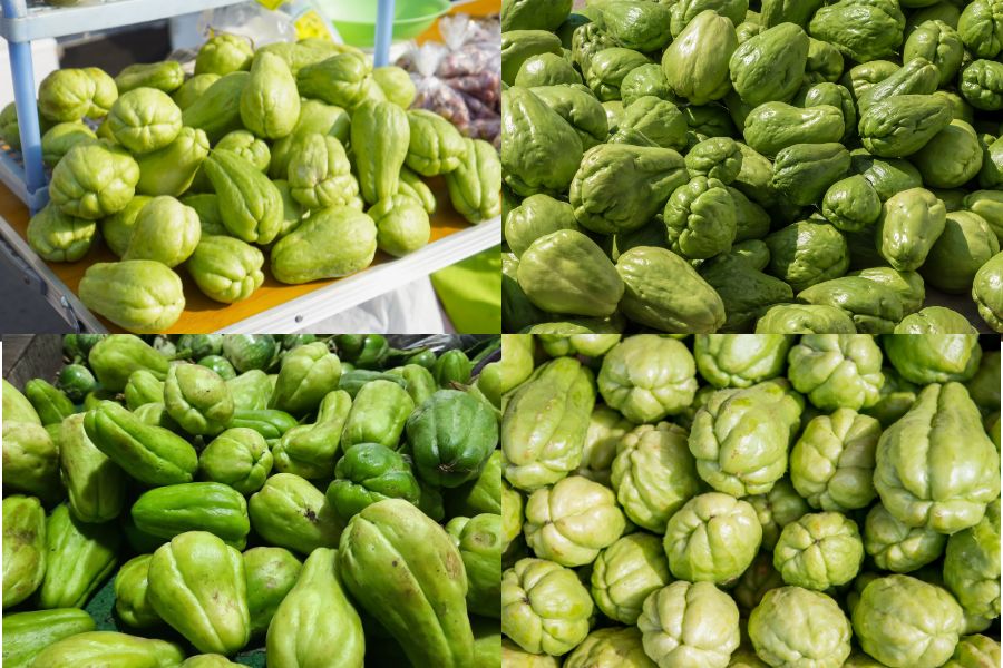 Ham luong vitamin C va kali trong su su ho tro tang cuong hoat dong va bao ve gan hieu qua. Do hoa: Tra My