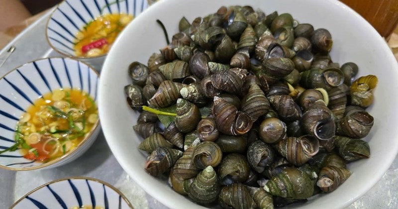 Making Snails 3 secrets to making snails as delicious as in store