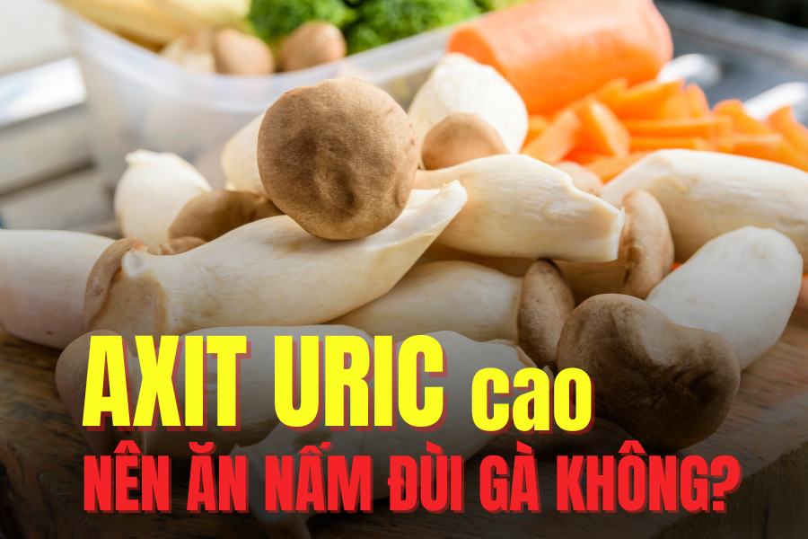 Chicken thigh mushrooms effectively support lowering uric acid. Graphics: Tra My