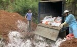 African swine fever broke out in the northern mountainous provinces