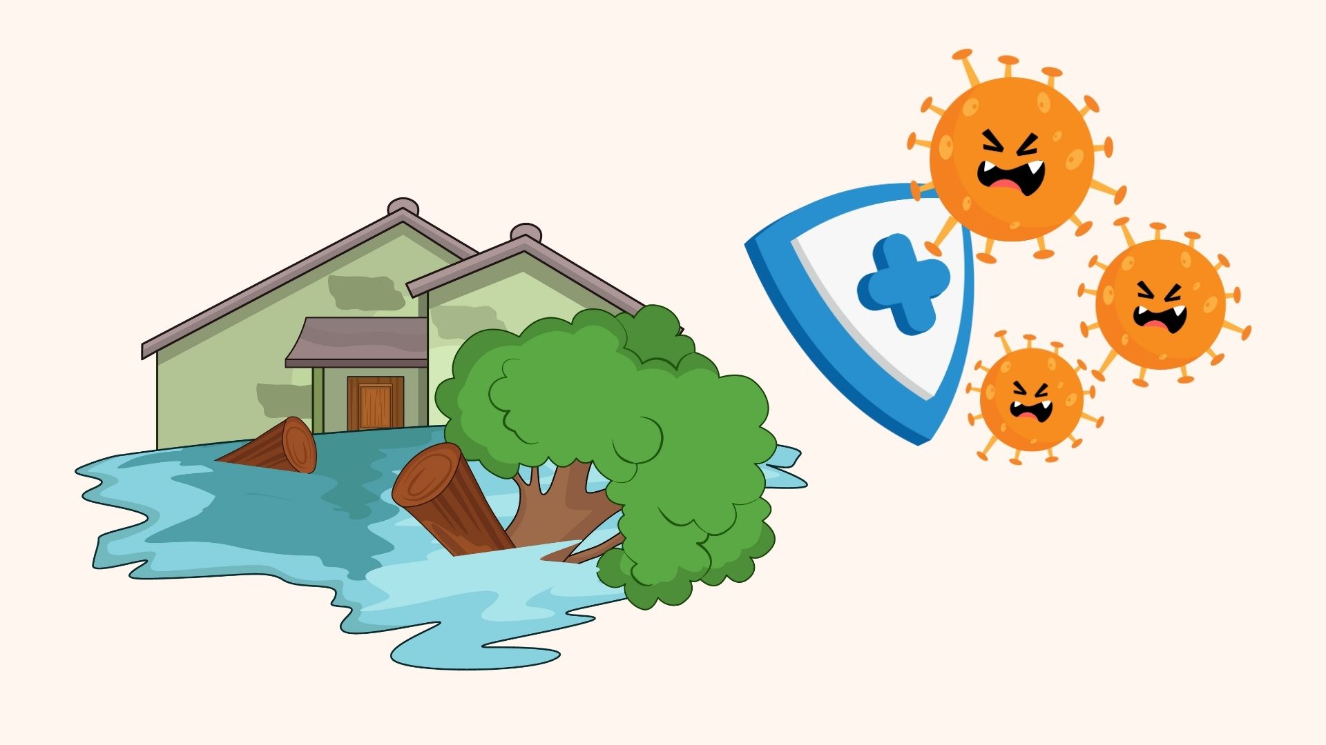 Timely respond to epidemics after storms and floods. Graphics: Linh Dan