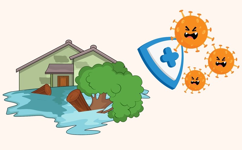 Timely respond to epidemics after storms and floods. Graphics: Linh Dan