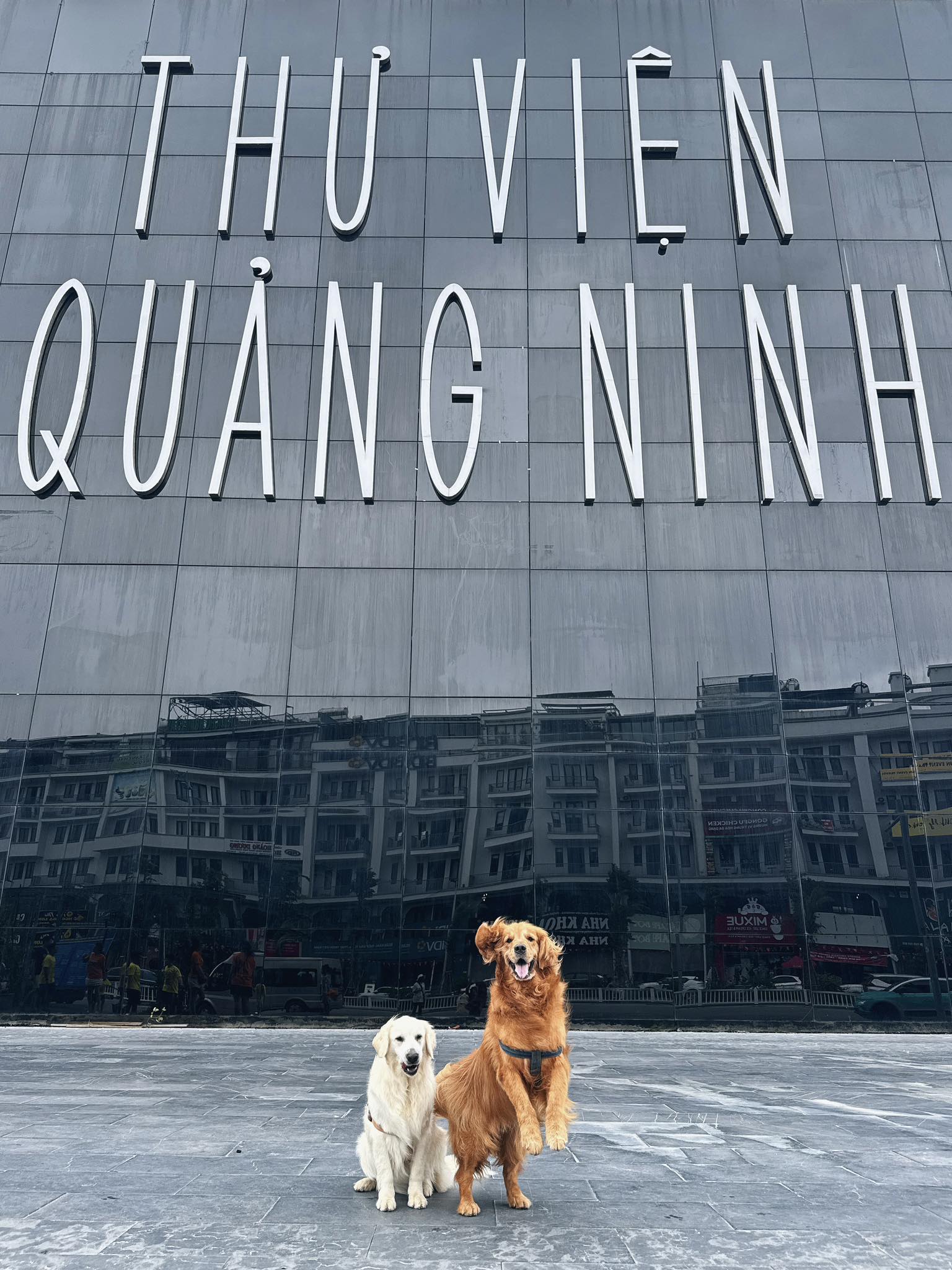 Hien tai, nhung chu cho va Binh dang luu lai Ha Long, Quang Ninh. Hanh trinh xuyen Viet cua ho se tiep dien o cac tinh Tay Bac, Dong Bac khac. Sau do, Binh du dinh tro ve Da Lat tu sua quan ca phe cung nhu chup anh lai.
