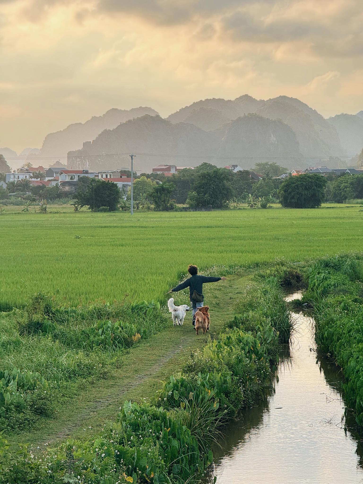 “Tui minh di Xuyen Viet co met khong ? Chac chan co nhung doi lai tui minh biet duoc rat nhieu mon an, kham pha nhieu canh dep, tiep xuc nhieu nguoi de thuong chua tung gap. Day la mon qua, dieu uoc ma it ai lam duoc cho be cun cua minh“, Binh chia se.