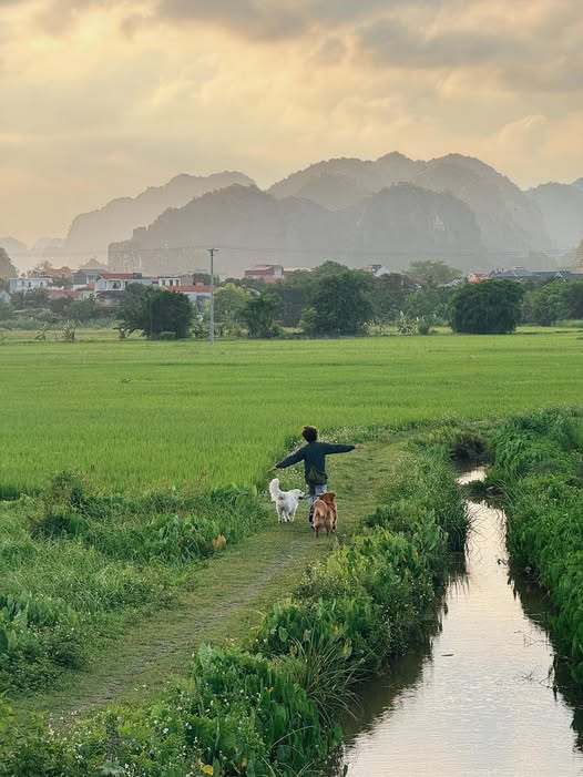 “Tui minh di Xuyen Viet co met khong ? Chac chan co nhung doi lai tui minh biet duoc rat nhieu mon an, kham pha nhieu canh dep, tiep xuc nhieu nguoi de thuong chua tung gap. Day la mon qua, dieu uoc ma it ai lam duoc cho be cun cua minh“, Binh chia se.
