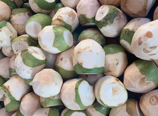 Drinking coconut water at the right time is good for the kidneys. Photo: Kieu Vu