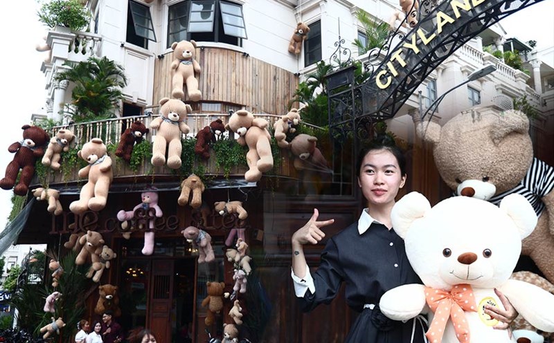 A coffee shop spends nearly half a billion VND to decorate a hot bear coffee shop in Ho Chi Minh City