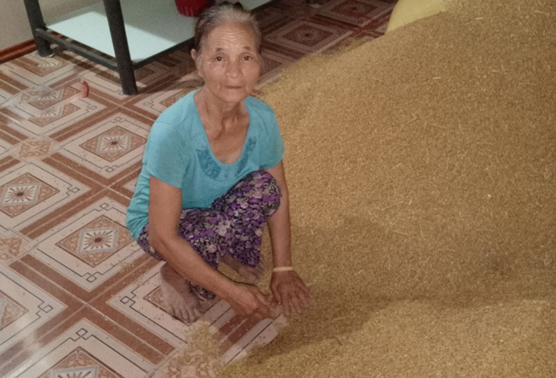 68 years ago, Mrs. Nhung worked hard to reap rice. Receiving social pension benefits early helps her feel more secure. Photo: Manh Cuong.