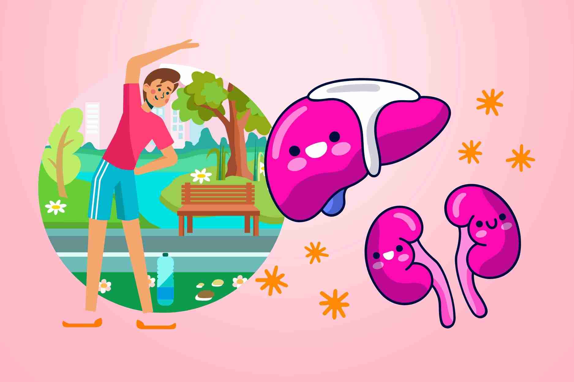 Simple exercises to do every day to protect the liver, kidneys and support detoxification. Graphics: Dinh Dinh