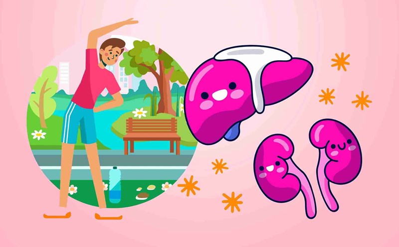 Simple exercises to do every day to protect the liver, kidneys and support detoxification. Graphics: Dinh Dinh