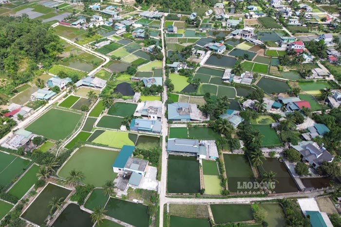 aa