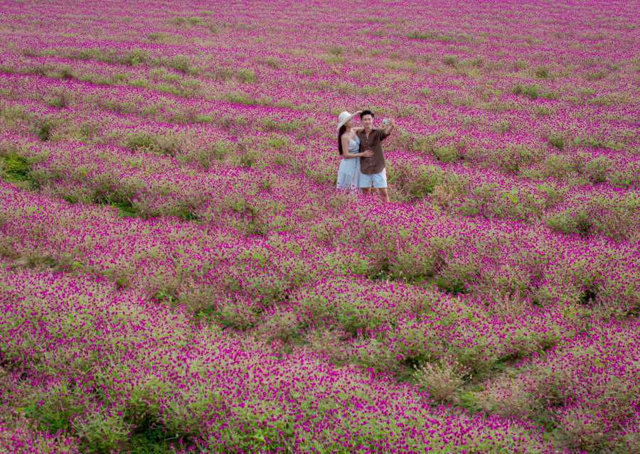The flourishing 10,000m2 flower garden in Yang Bay is welcoming visitors to experience the natural summer of Khanh Hoa mountains and forests. Photo: Thanh Thanh