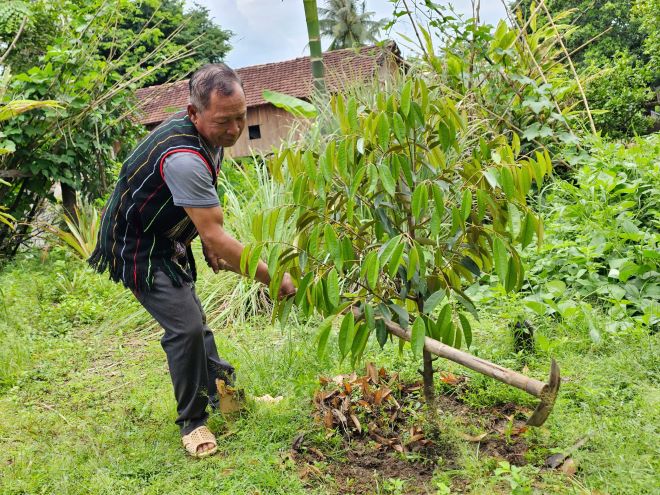 Despues de la inspeccion, la provincia de Dak Lak ofrecera soluciones para eliminar los cuellos de botella en la implementacion del Proyecto 104. Foto: Thanh Quynh