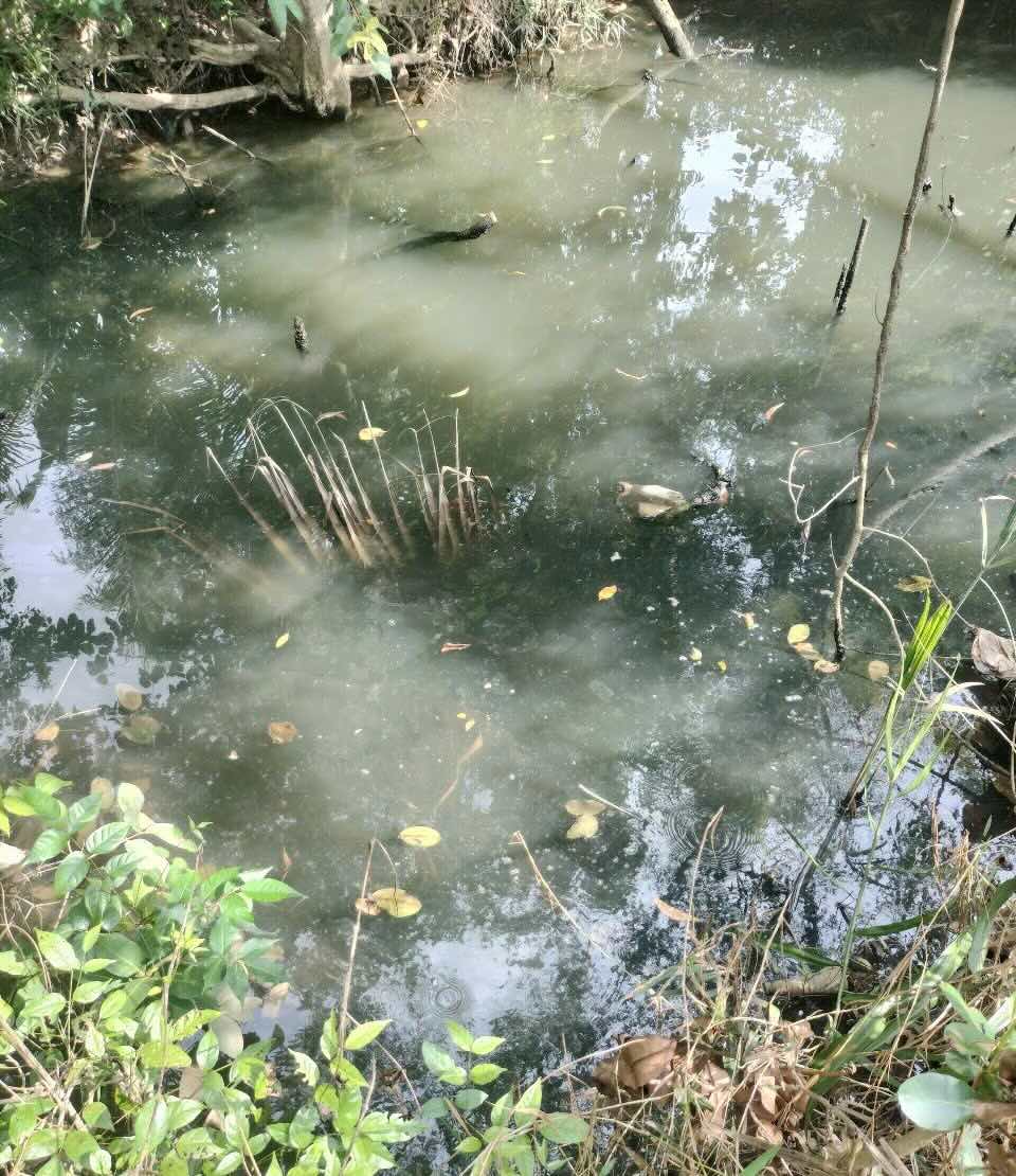 Co quan chuc nang tinh Long An da xu phat 155 trieu dong cong ty co hanh vi xa thai vuot quy chuan ra moi truong. Anh: Duy Minh