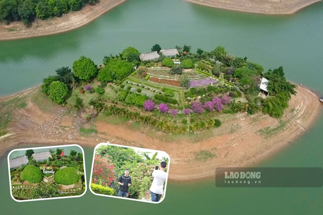 Từ đất hoang hóa thành đảo hoa giữa lòng hồ Núi Cốc