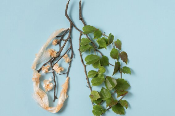 Common mistakes about the concept of liver detoxification. Photo: Thuy Duong