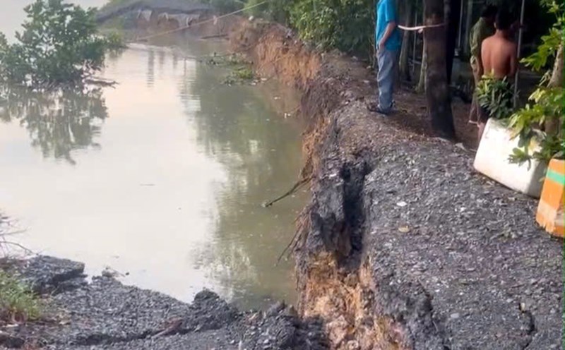 Ahead of the landslide on the Saigon River dike in Binh My commune (Cu Chi). Photo: Binh My Commune Military Command